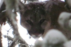 Erins-8th-Grade-Graduation0002