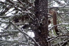 Erins-8th-Grade-Graduation0003