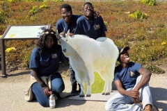 2018-09-06-11.07.00-2