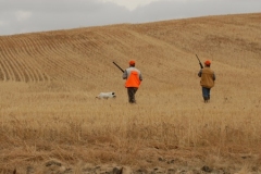 Matt's Montana Bird Hunt