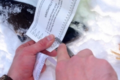 Nathan-Shurter-20170001_1