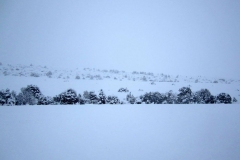 Nathan-Shurter-20170003