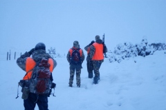 Nathan-Shurter-20170005_1