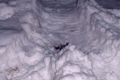 Nathan-Shurter-20170007_2