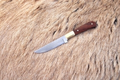 Nathan-Shurter-20170024_1