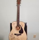 313462119_493402432832428_6644940450641167544_n